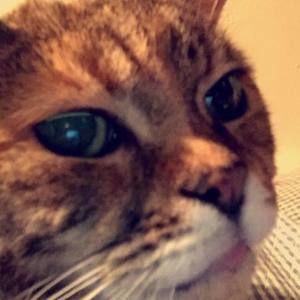 Meet your Posher, Patricia ann